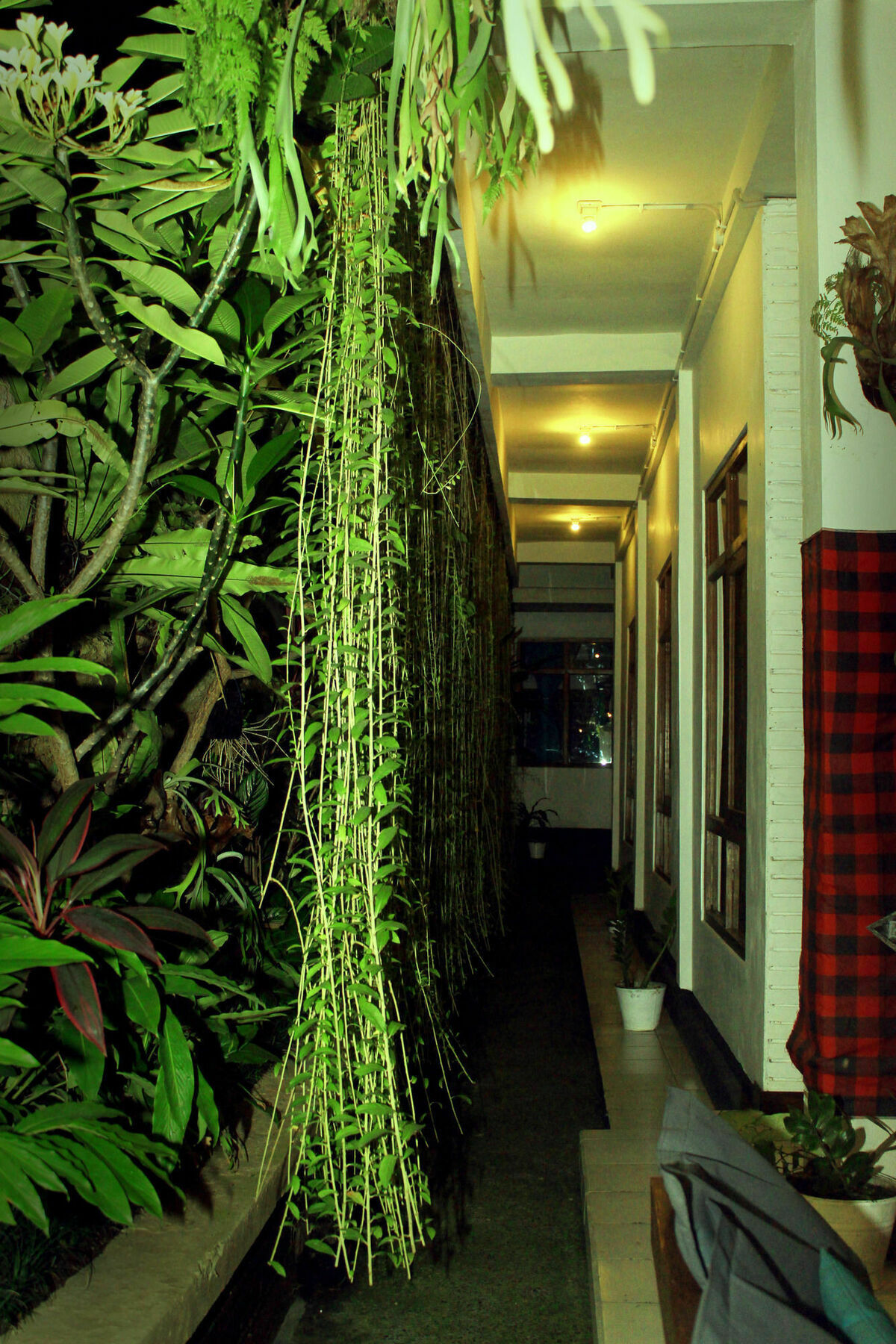 Hostel Friendly House Bali